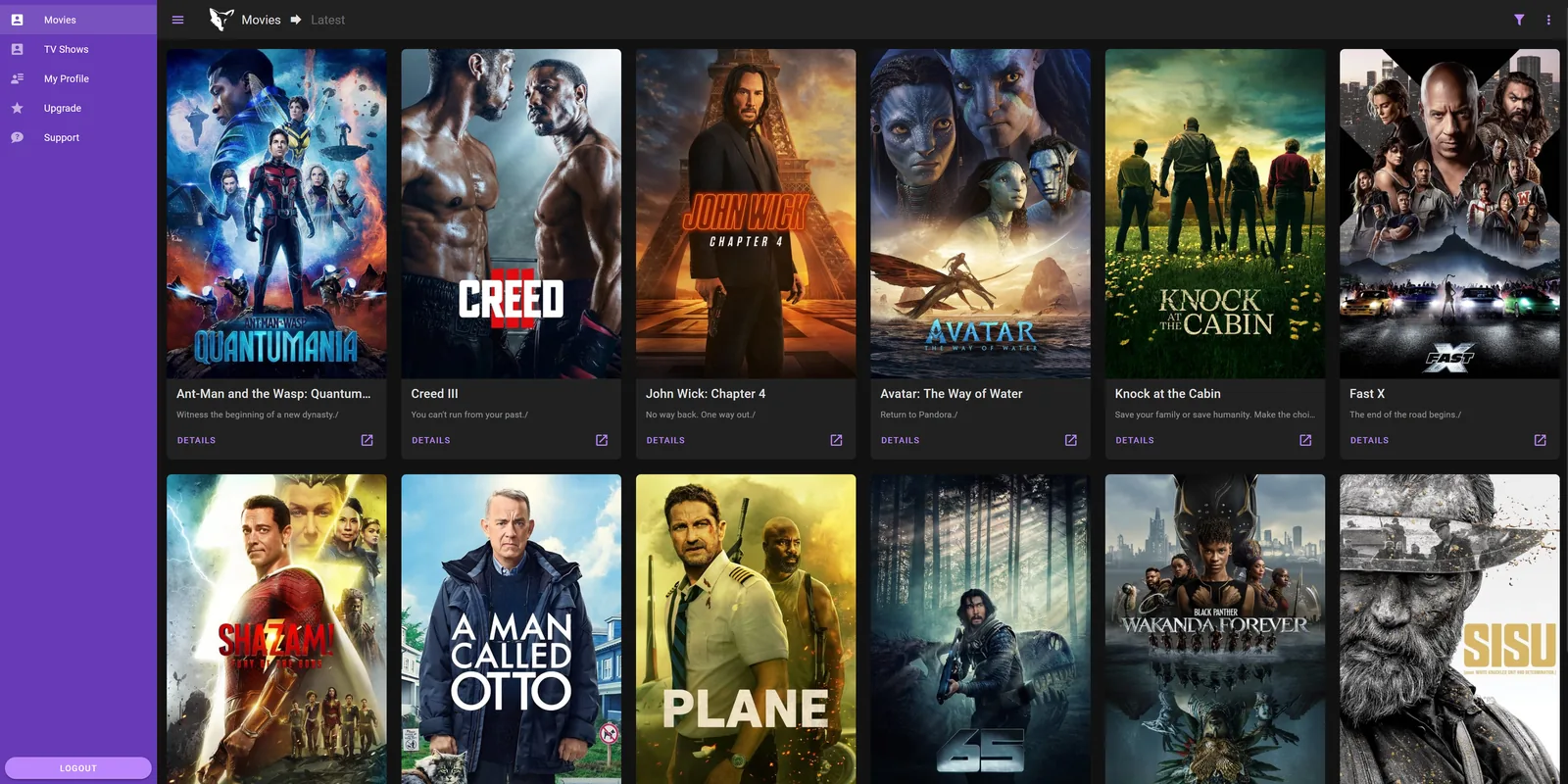 nzbwolf movies browse view, ranked by popularity